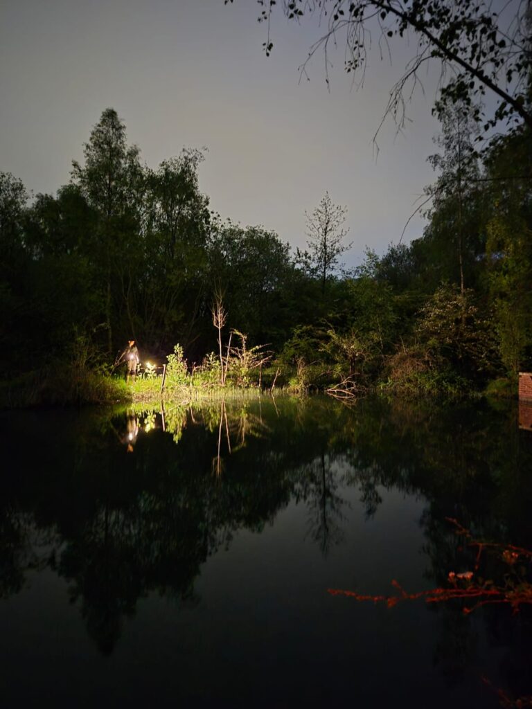 Habitat Works ecologists carrying out a GCN torch survey
