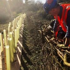 Habitat Management Services