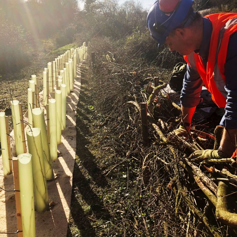 Habitat Management Services Habitat Management Services